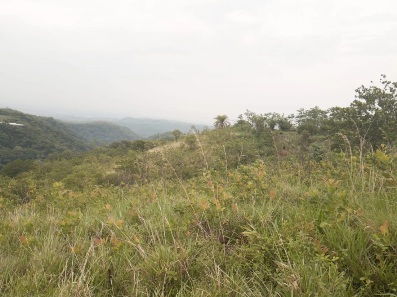 Terreno Agrícola en Venta en Pueblo Nuevo Viñas, Santa Rosa, Guatemala — Terreno en Venta en Pueblo Nuevo Viñas, Santa Rosa — foto 7 de 7