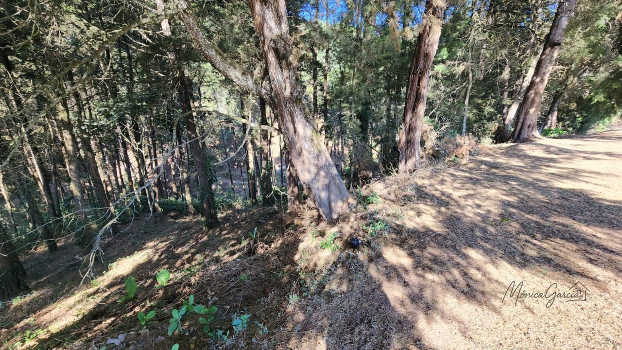 Terreno en Venta en Condominio MONTE CRISTO, San José Pinula — Terreno en Venta en San José Pinula, Guatemala, Ciudad — foto 4 de 6
