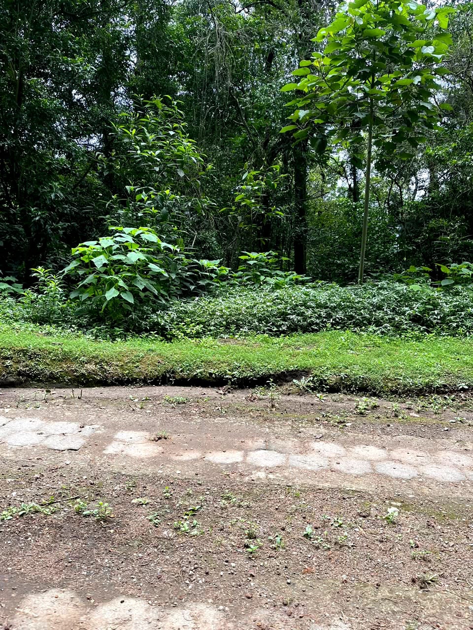 Terreno en Venta Granjas Jardín El Alto Santiago Sacatepequez — Terreno en Venta en Santiago Sacatepéquez, Sacatepéquez — foto 3 de 13
