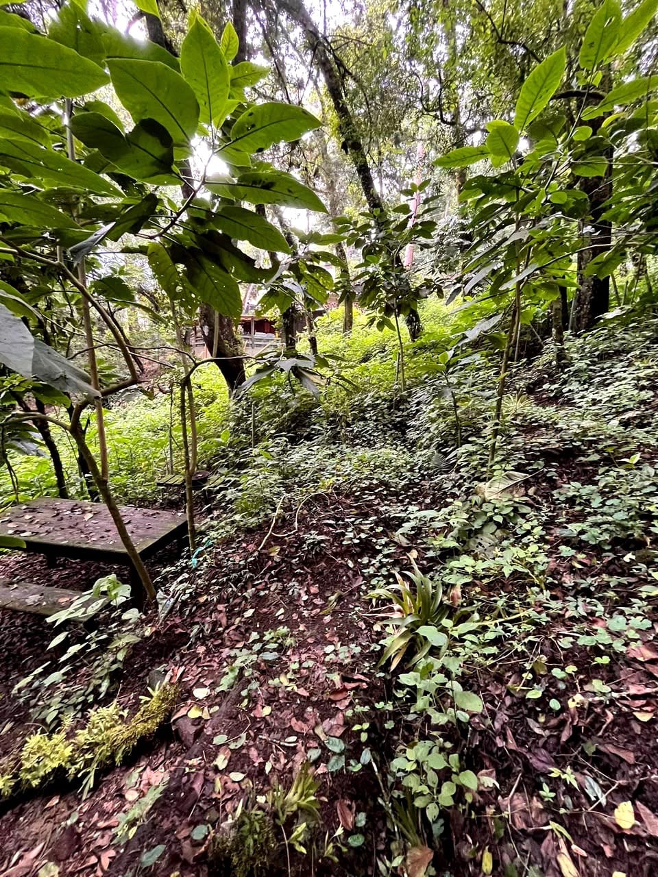 Terreno en Venta Granjas Jardín El Alto Santiago Sacatepequez — Terreno en Venta en Santiago Sacatepéquez, Sacatepéquez — foto 5 de 13