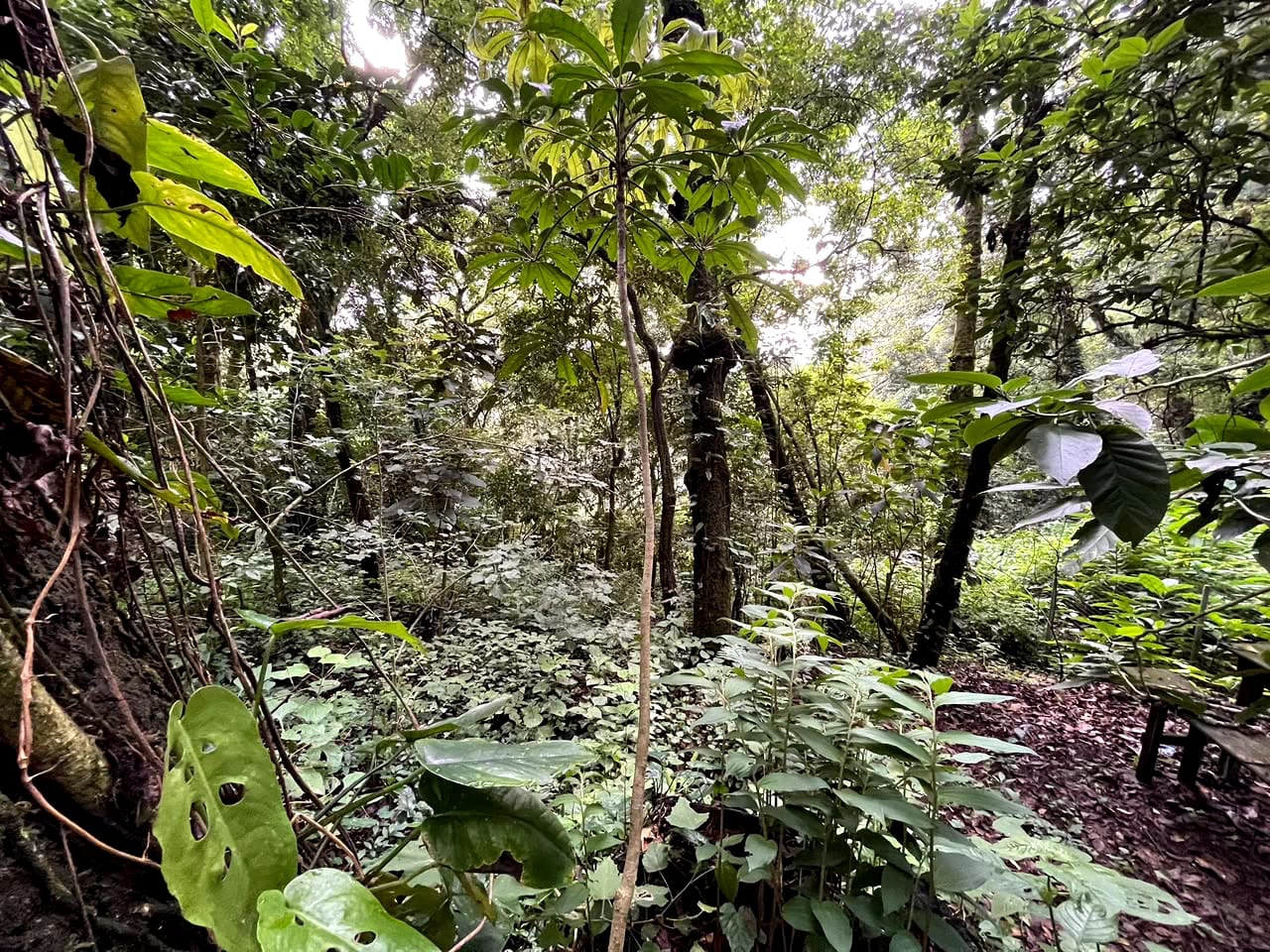 Terreno en Venta Granjas Jardín El Alto Santiago Sacatepequez — Terreno en Venta en Santiago Sacatepéquez, Sacatepéquez — foto 7 de 13