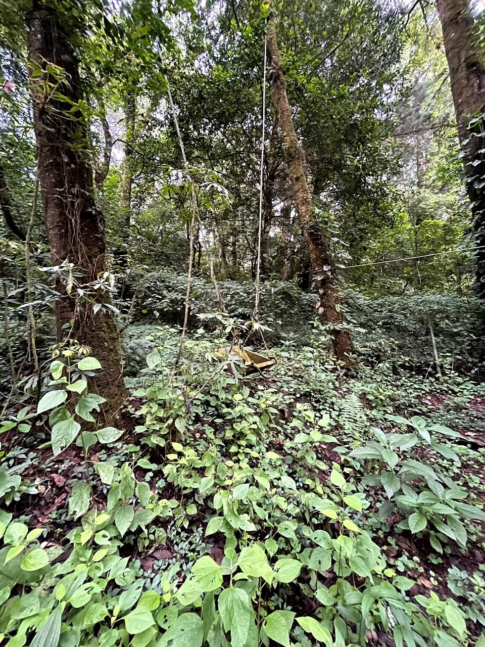 Terreno en Venta Granjas Jardín El Alto Santiago Sacatepequez — Terreno en Venta en Santiago Sacatepéquez, Sacatepéquez — foto 8 de 13