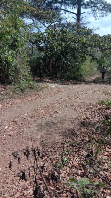 🔥 PRECIO DE REMATE 🔥 ¡Tu refugio natural listo para construir! Terreno en Bosque Nevado 🌲🏡 — Terreno en Venta en Villa Canales, Guatemala, Ciudad — foto 2 de 5