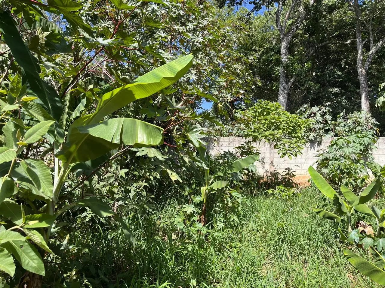 Renta de terreno comercial en colmenas Villa Canales — Terreno en Alquiler en Villa Canales, Guatemala, Ciudad — foto 2 de 11