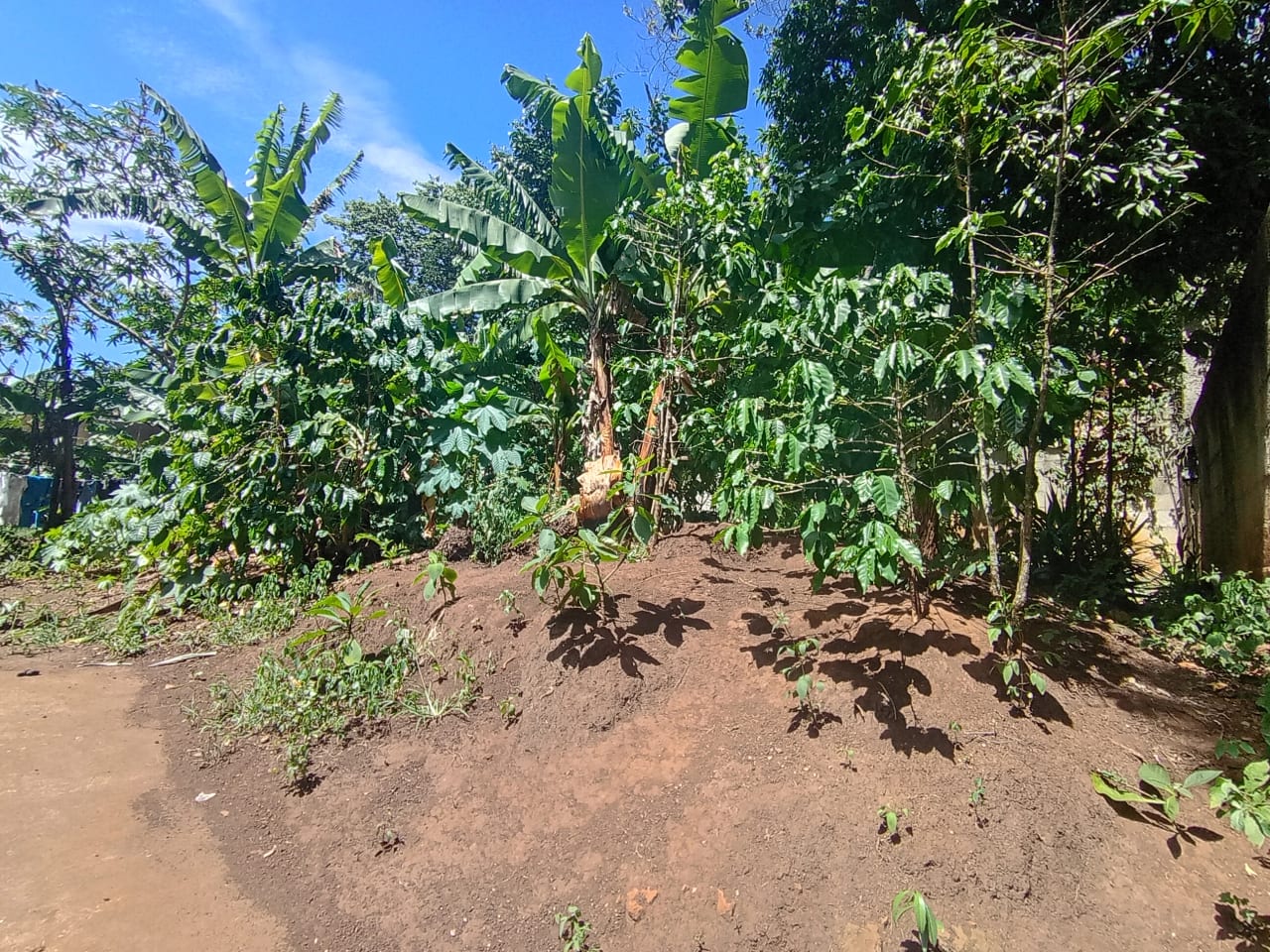 Renta de terreno comercial en colmenas Villa Canales — Terreno en Alquiler en Villa Canales, Guatemala, Ciudad — foto 3 de 11