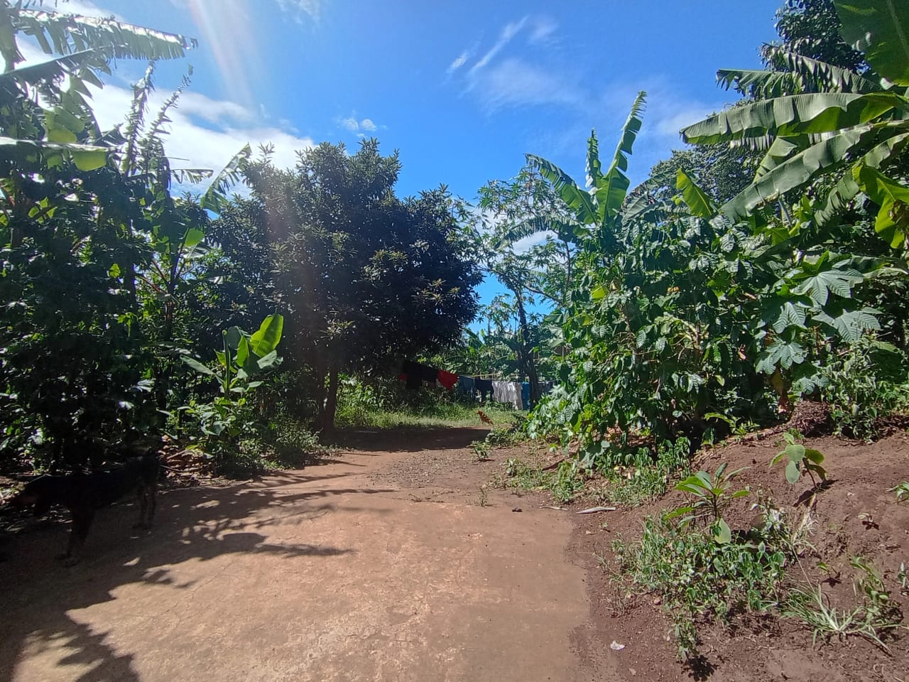 Renta de terreno comercial en colmenas Villa Canales — Terreno en Alquiler en Villa Canales, Guatemala, Ciudad — foto 5 de 11