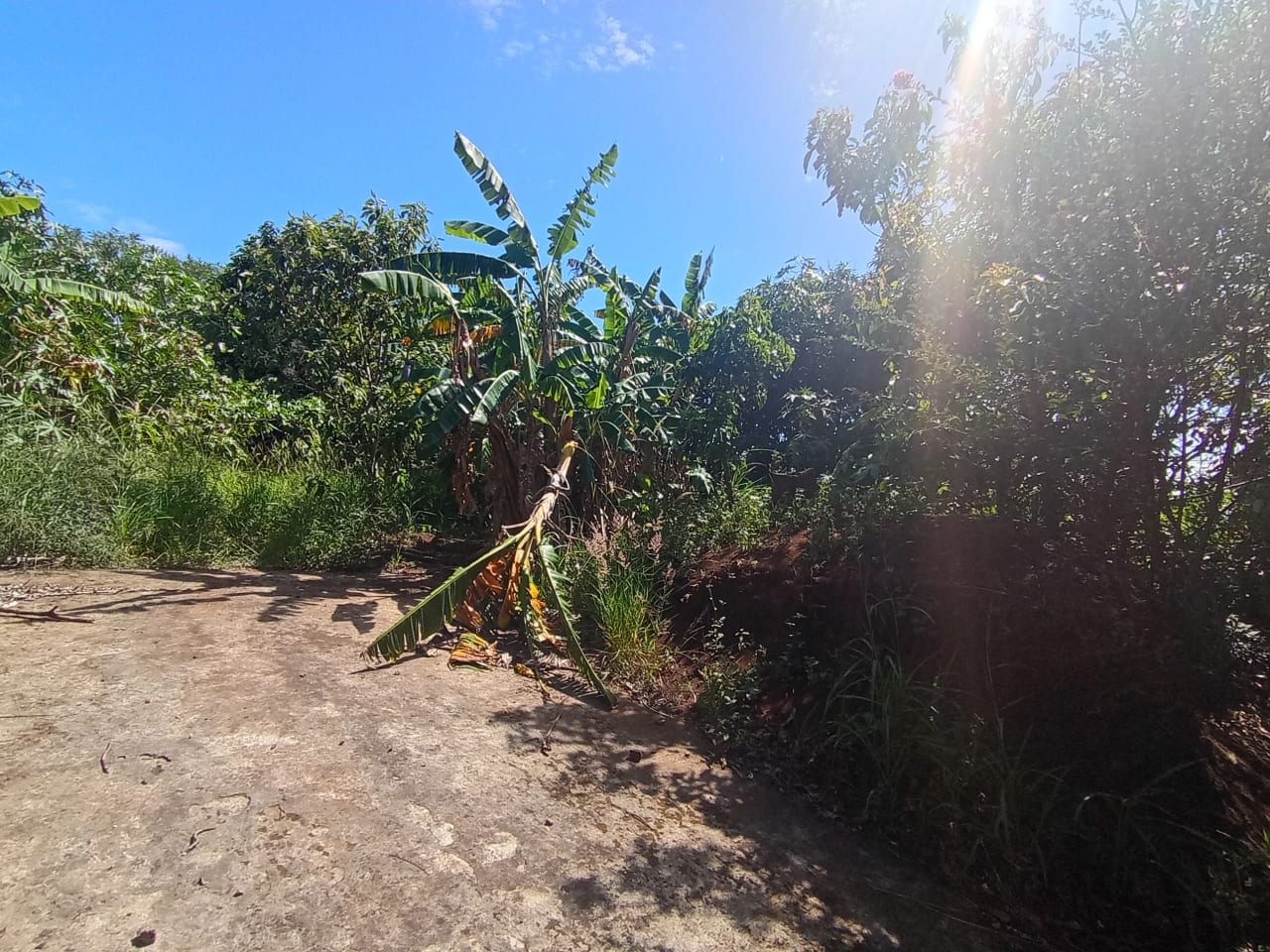 Renta de terreno comercial en colmenas Villa Canales — Terreno en Alquiler en Villa Canales, Guatemala, Ciudad — foto 8 de 11
