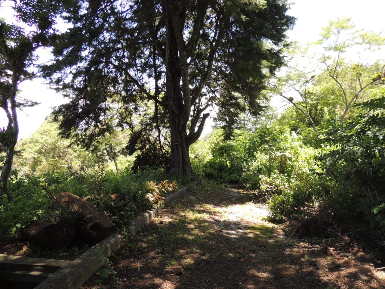 Terreno en Venta en Condominio Finca San Vicente — Terreno en Venta en Carretera a El Salvador, Guatemala, Ciudad — foto 3 de 7