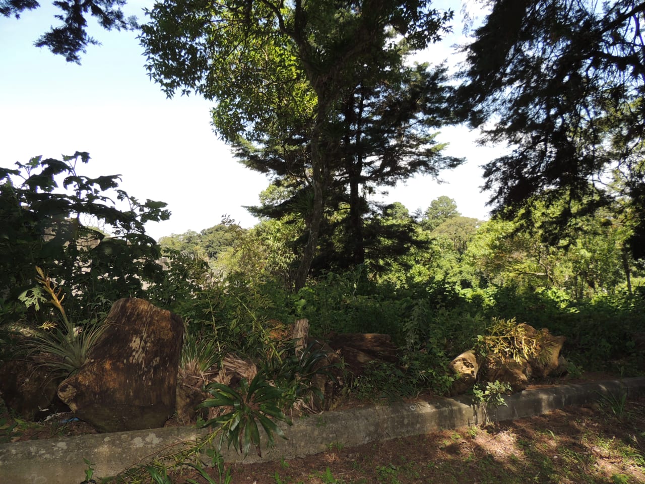 Terreno en Venta en Condominio Finca San Vicente — Terreno en Venta en Carretera a El Salvador, Guatemala, Ciudad — foto 4 de 7