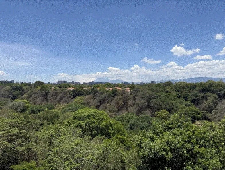 Apartamento de lujo en alquiler, Cayalá, zona 16 — Apartamento en Alquiler en Ciudad Cayalá, Zona 16, Guatemala, Ciudad — foto 10 de 10