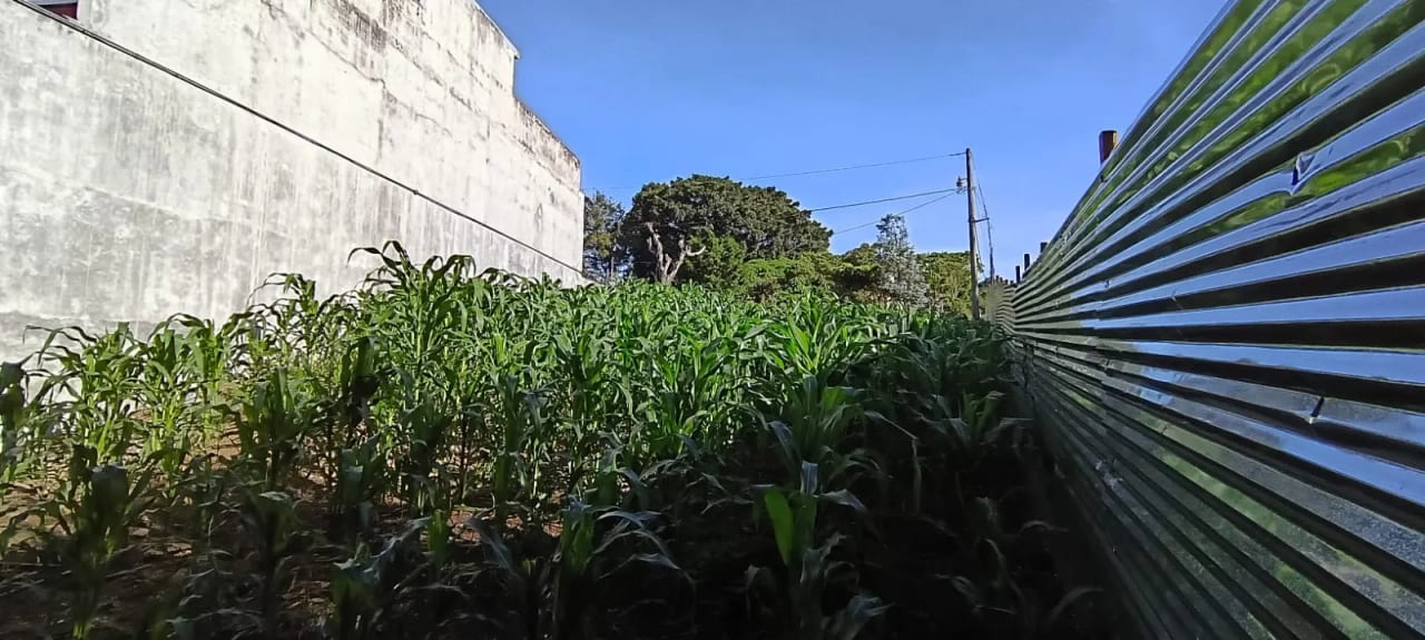 Terreno en Venta – Km. 28 Carretera a El Salvador, a orilla de carretera — Terreno en Venta en Carretera a El Salvador, Guatemala, Ciudad — foto 3 de 4