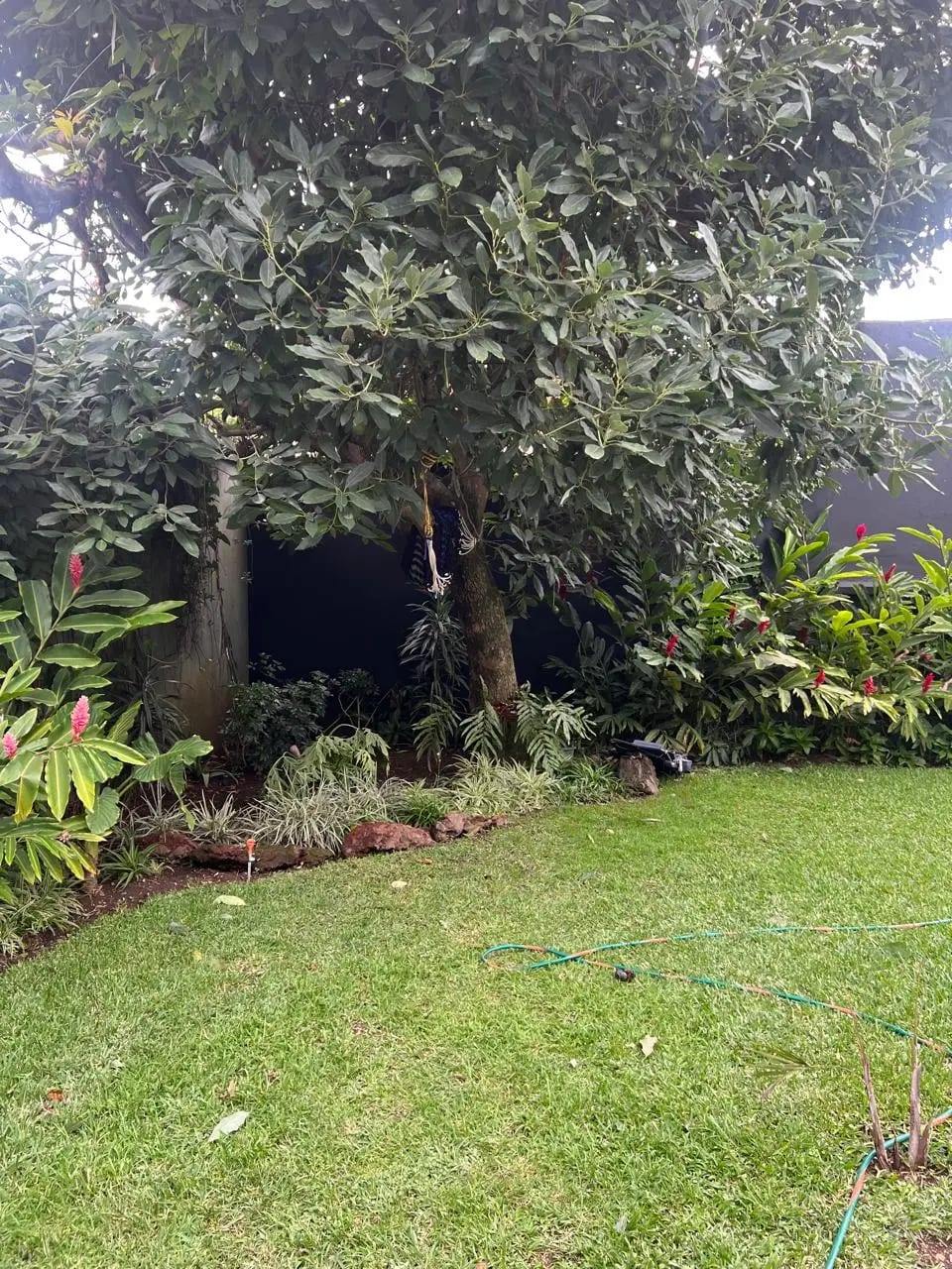 Casa en Alquiler – Zona 14 | Sector La Villa — Casa en Alquiler en La Villa, Zona 14, Guatemala, Ciudad — foto 14 de 14