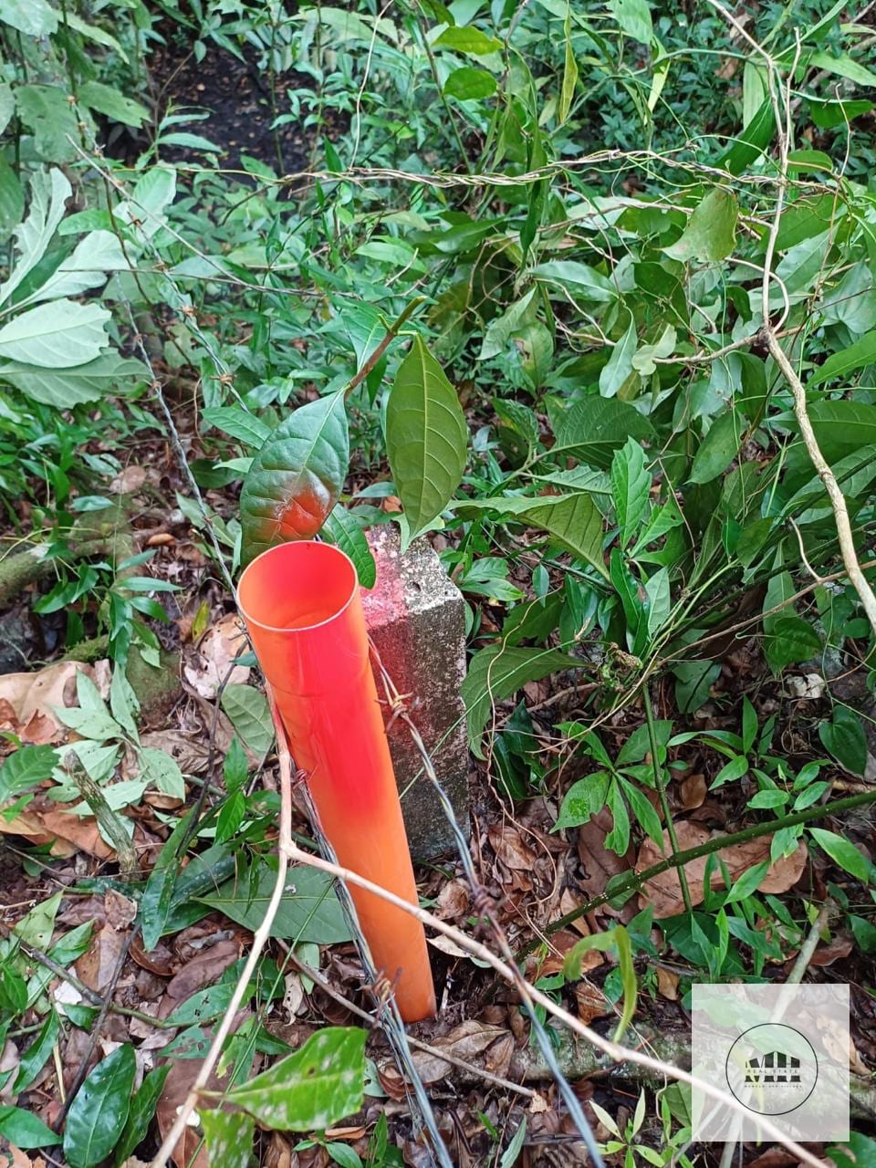 Terreno a. La orilla del Rio Dulce — Terreno en Venta en Río dulce, Izabal — foto 6 de 7