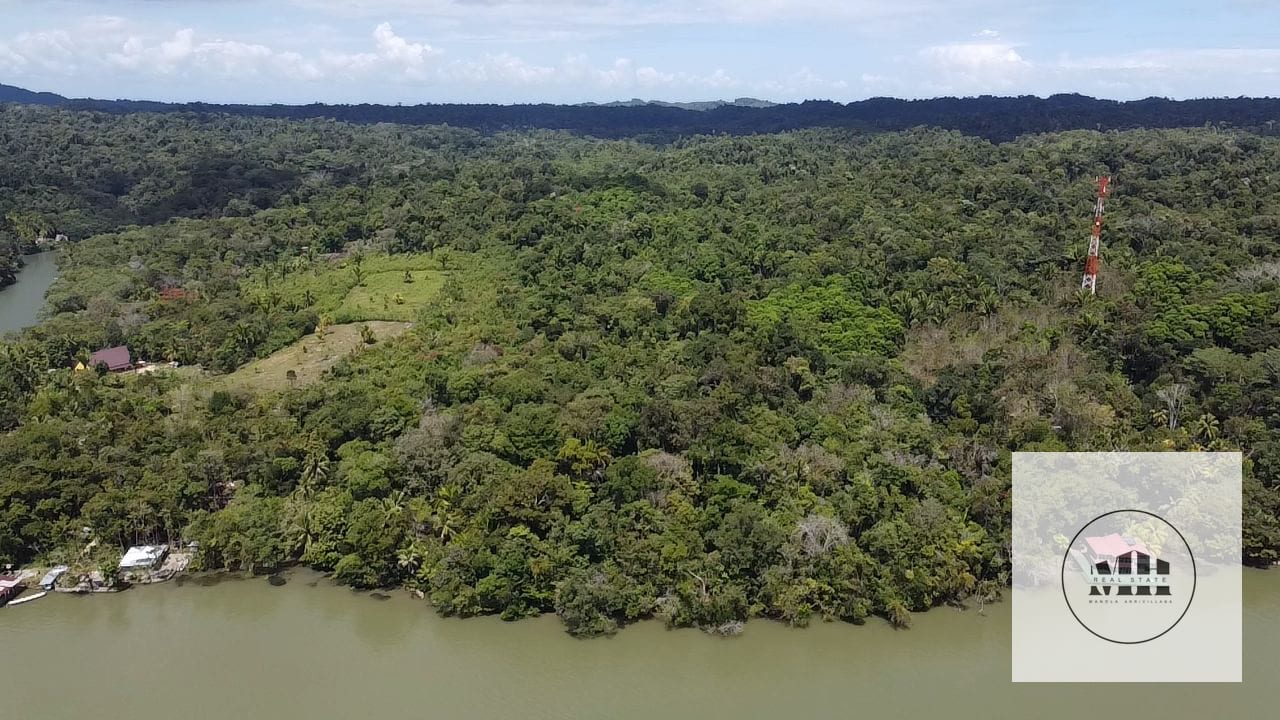 Terreno a. La orilla del Rio Dulce — Terreno en Venta en Río dulce, Izabal — foto 7 de 7