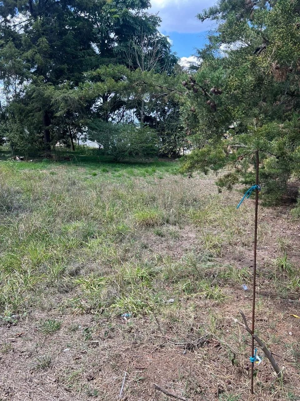 Hacienda Real zona 16 DOS TERRENOS — Terreno en Venta en Zona 16, Guatemala, Ciudad — foto 4 de 4
