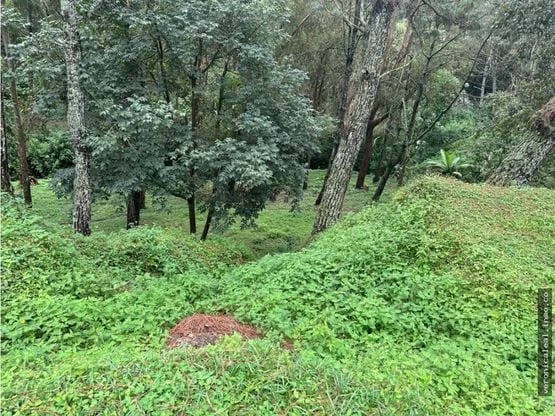 Terreno en Venta Hacienda San Ángel San José Pinula — Terreno en Venta en San José Pinula, Guatemala, Ciudad — foto 5 de 12