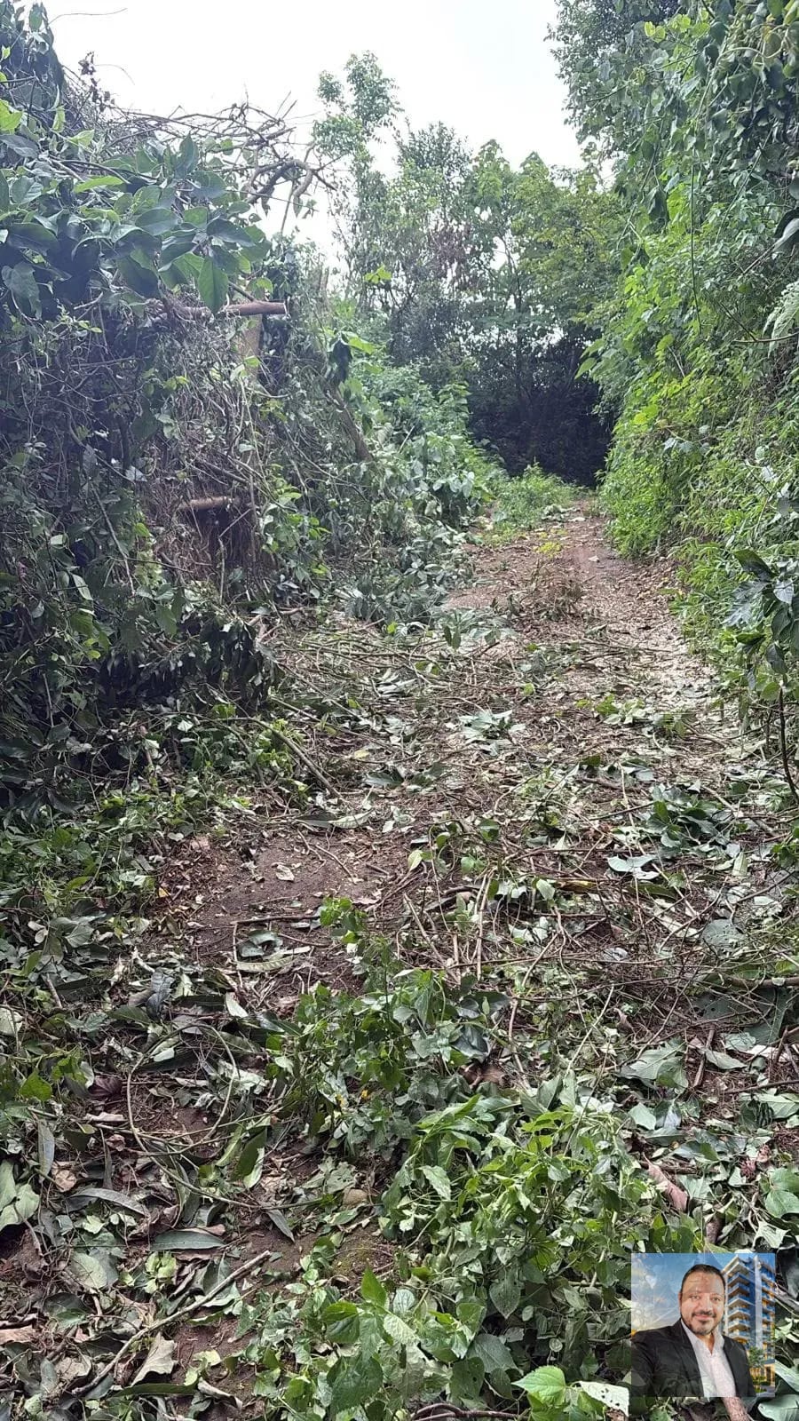 🟢🏠 Se Vende Finca en Patzcia — Terreno en Venta en Patzicía, Chimaltenango — foto 4 de 4