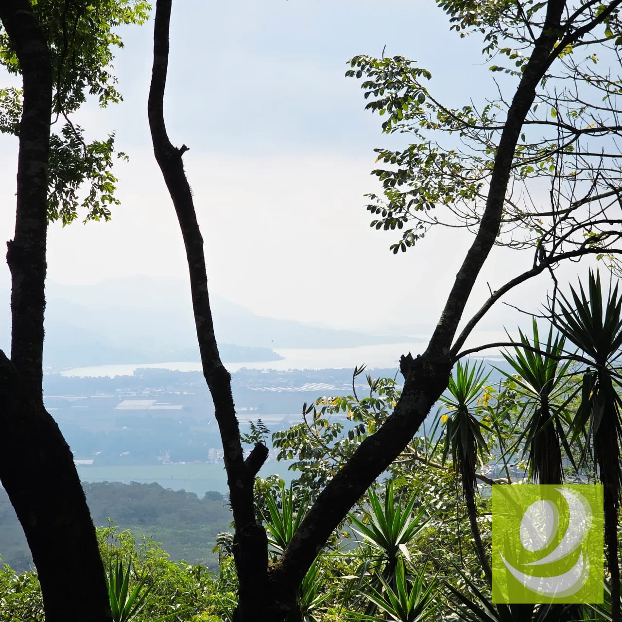 Venta Casa Invierte en una joya campestre con potencial comercial — Casa en Venta en Santa Elena Barillas, Guatemala, Ciudad — foto 6 de 7
