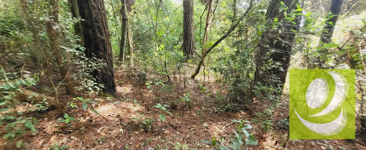 🌳🏡 ¡CONSTRUYE LA CASA QUE SIEMPRE SOÑASTE! 🏡🌳 — Terreno en Venta en Zona 9 Mixco, Guatemala, Ciudad — foto 3 de 5