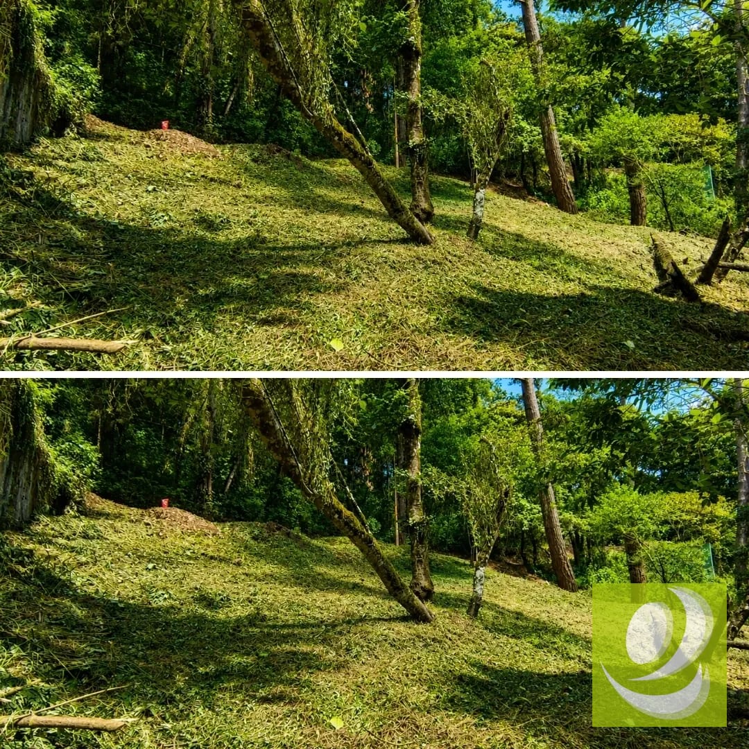 Terreno en Venta en Santiago Sacatepéquez — Terreno en Venta en Santiago Sacatepéquez, Sacatepéquez — foto 5 de 7