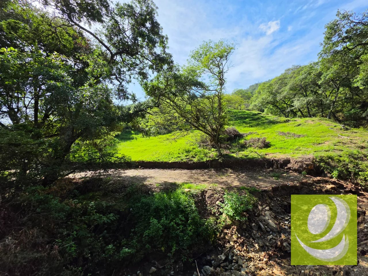 En Venta Finca de 43.7 Manzanas Huehuetenango — Finca en Venta en Huehuetenango, Huehuetenango — foto 3 de 5