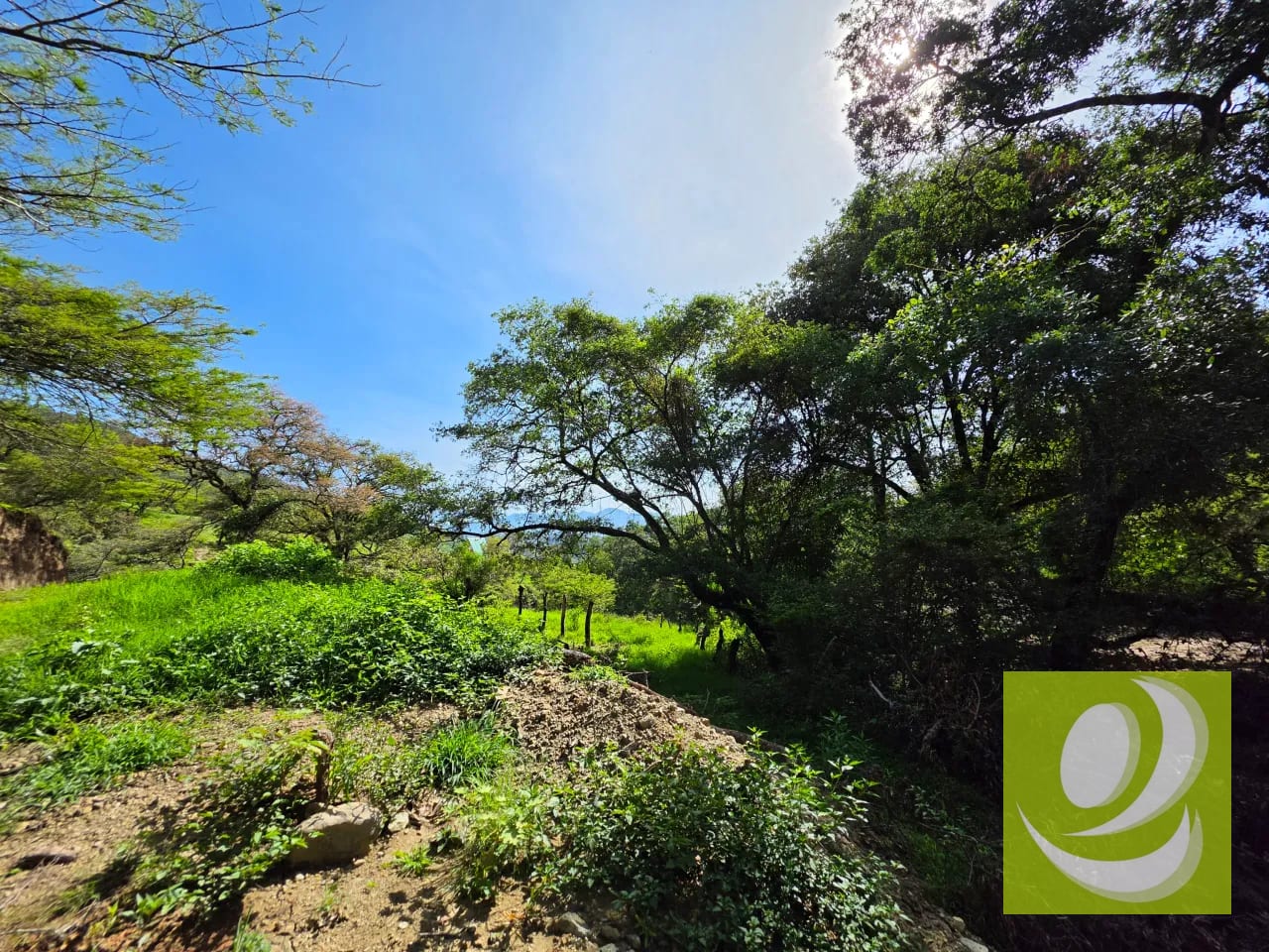 En Venta Finca de 43.7 Manzanas Huehuetenango — Finca en Venta en Huehuetenango, Huehuetenango — foto 4 de 5