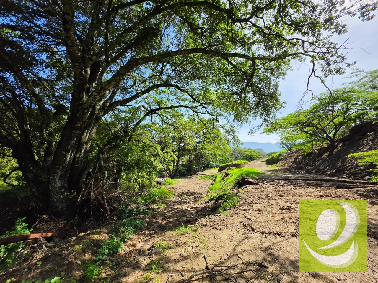 En Venta Finca de 43.7 Manzanas Huehuetenango — Finca en Venta en Huehuetenango, Huehuetenango — foto 5 de 5