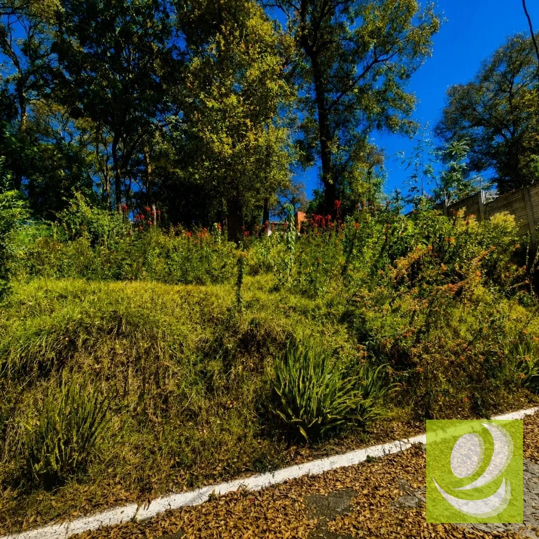 Terreno en Venta en Bosque Vivo km 24 Carretera Interamericana — Terreno en Venta en San Lucas Sacatepéquez, Sacatepéquez — foto 3 de 7