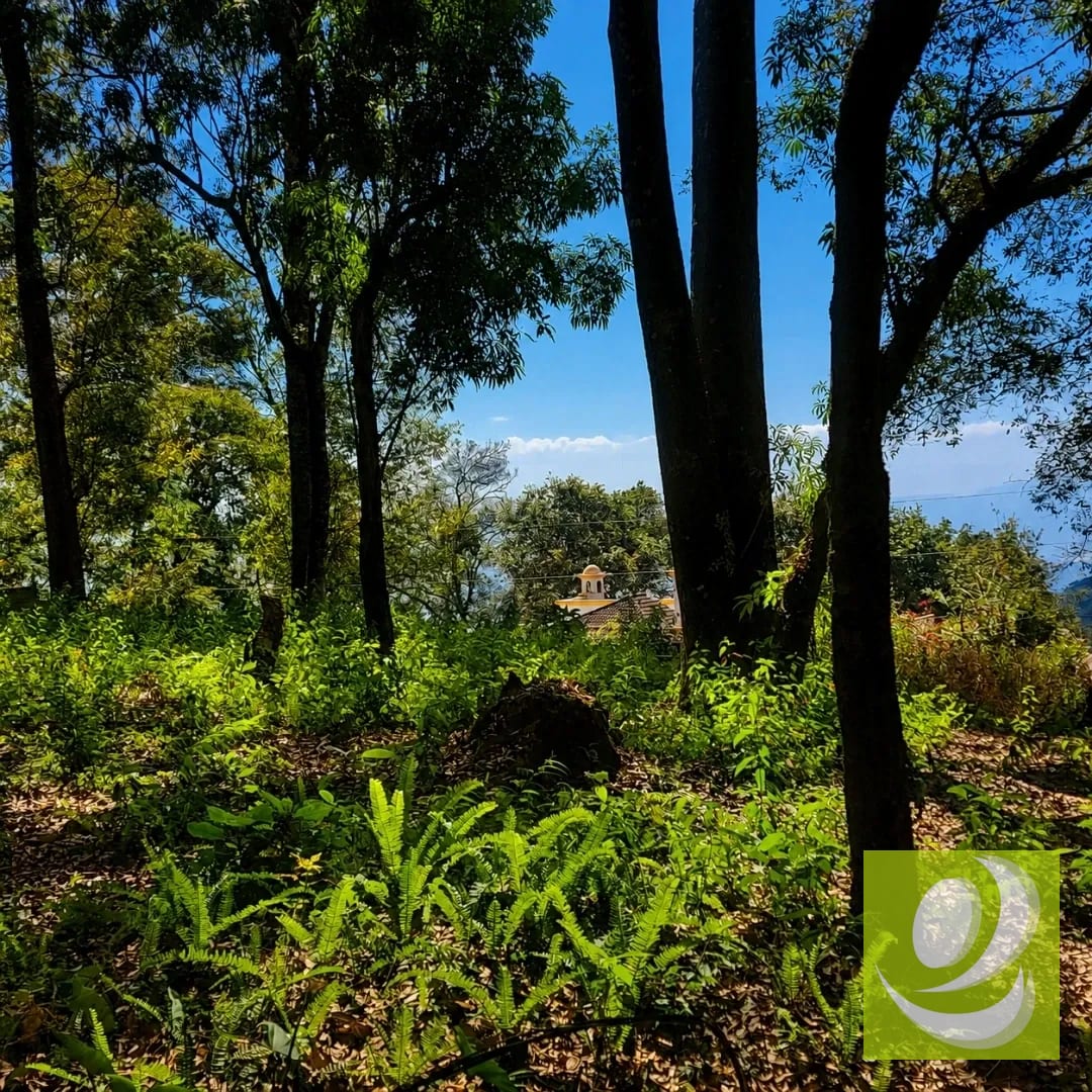 Terreno en Venta en Bosque Vivo km 24 Carretera Interamericana — Terreno en Venta en San Lucas Sacatepéquez, Sacatepéquez — foto 4 de 7