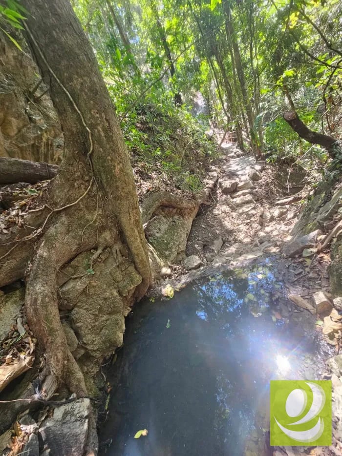 Finca en venta en Fraijanes — Finca en Venta en Carretera a El Salvador, Guatemala, Ciudad — foto 3 de 13