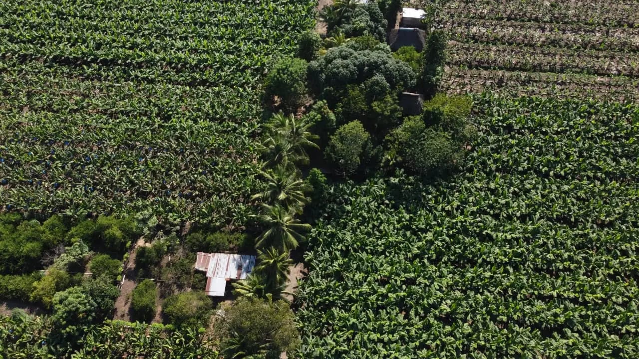 *Vendo Finca en San Marcos* — Finca en Venta en La Blanca, San Marcos — foto 1 de 6