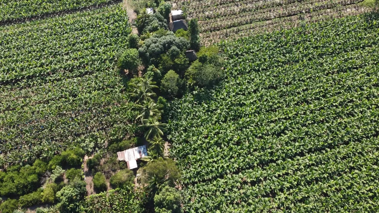 *Vendo Finca en San Marcos* — Finca en Venta en La Blanca, San Marcos — foto 3 de 6