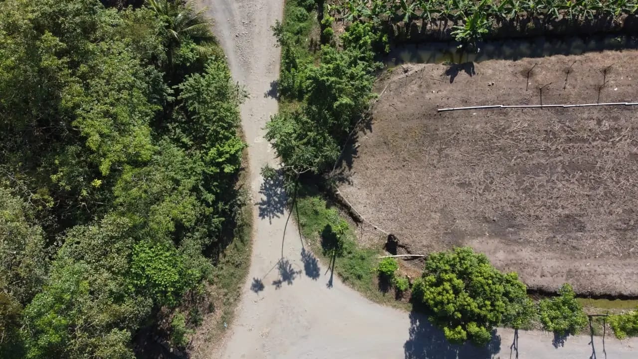 *Vendo Finca en San Marcos* — Finca en Venta en La Blanca, San Marcos — foto 4 de 6