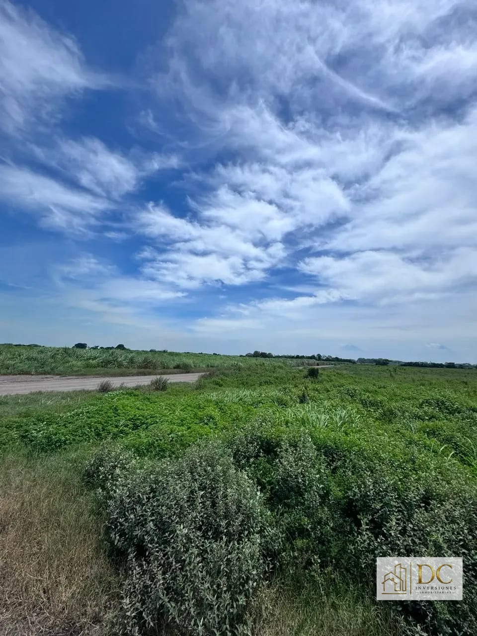 đ Terrenos Industriales en Venta â Desde 16,762.82 Hasta 30,129.73 VarasÂČ | KM. 98 Ruta al PacĂfico | Puerto San JosĂ© â Terreno en Venta en Puerto San JosĂ©, Escuintla â foto 5 de 12