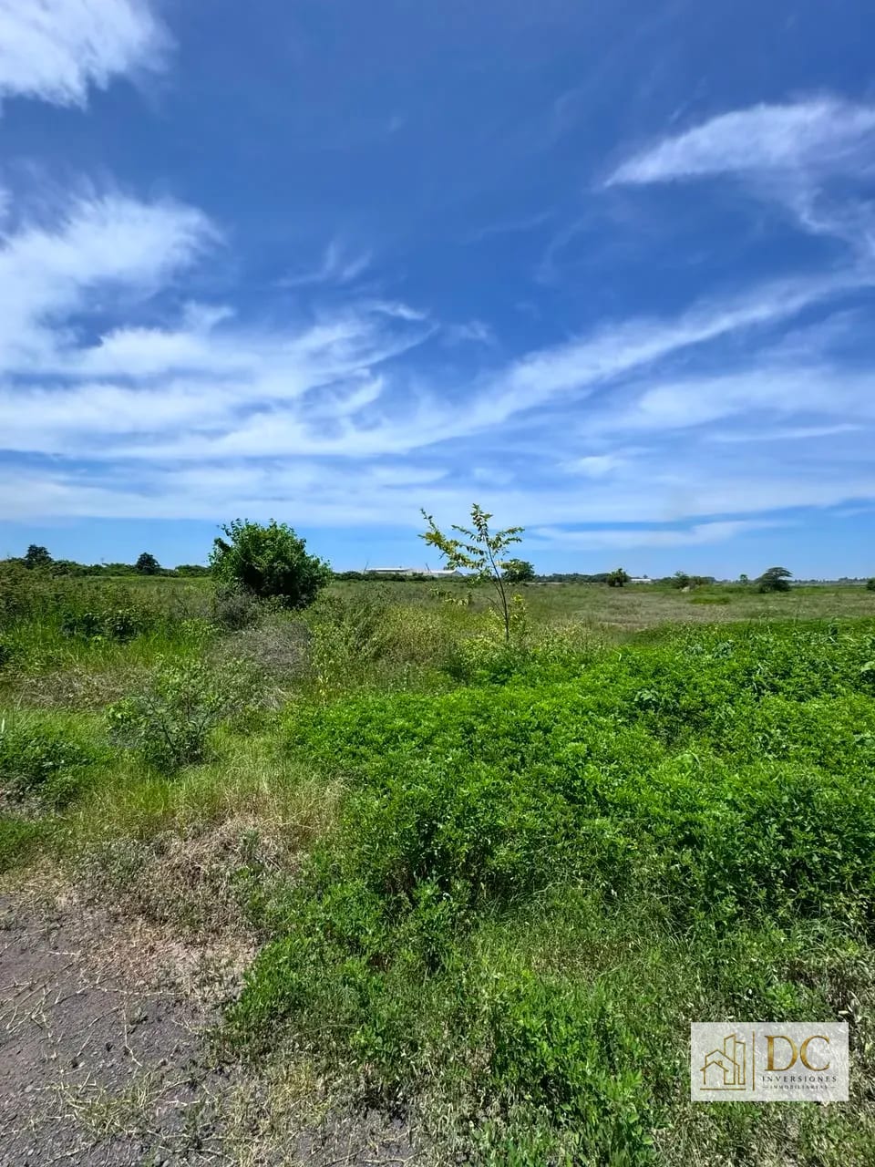 đ Terrenos Industriales en Venta â Desde 16,762.82 Hasta 30,129.73 VarasÂČ | KM. 98 Ruta al PacĂfico | Puerto San JosĂ© â Terreno en Venta en Puerto San JosĂ©, Escuintla â foto 12 de 12