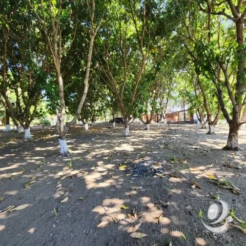 Casa Vacacional en Venta Monterrico — Casa vacacional en Venta en Monterrico, Santa Rosa — foto 7 de 15