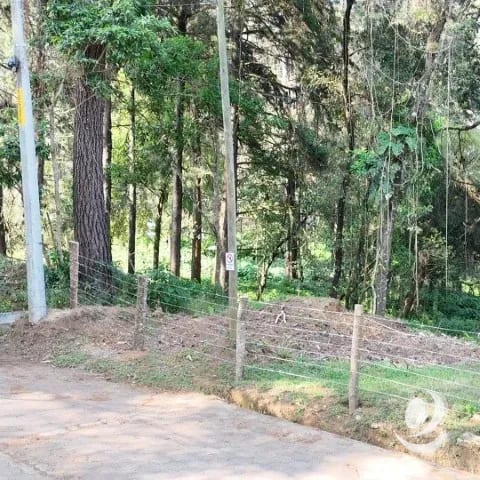 Terreno Residencial en Venta El Encinal Zona 7 de Mixco — Terreno en Venta en Zona 7 Mixco, Guatemala, Ciudad — foto 3 de 17