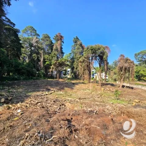 Terreno Residencial en Venta El Encinal Zona 7 de Mixco — Terreno en Venta en Zona 7 Mixco, Guatemala, Ciudad — foto 7 de 17
