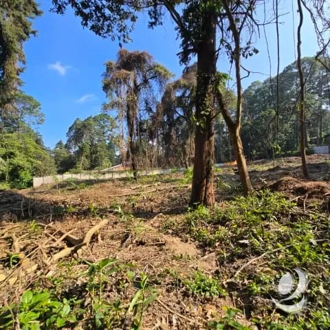Terreno Residencial en Venta El Encinal Zona 7 de Mixco — Terreno en Venta en Zona 7 Mixco, Guatemala, Ciudad — foto 13 de 17
