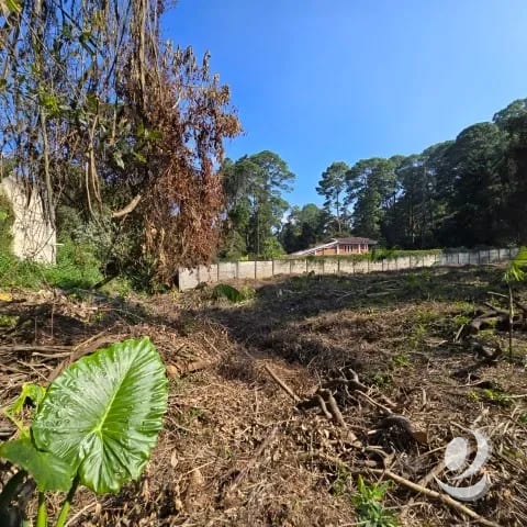 Terreno Residencial en Venta El Encinal Zona 7 de Mixco — Terreno en Venta en Zona 7 Mixco, Guatemala, Ciudad — foto 14 de 17