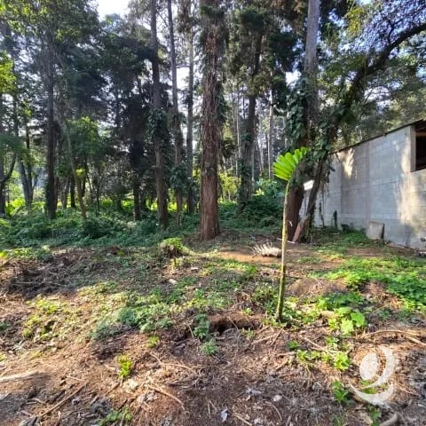 Terreno Residencial en Venta El Encinal Zona 7 de Mixco — Terreno en Venta en Zona 7 Mixco, Guatemala, Ciudad — foto 15 de 17