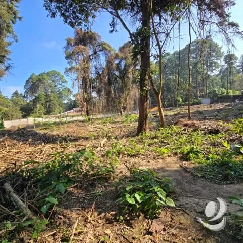 Terreno Residencial en Venta El Encinal Zona 7 de Mixco — Terreno en Venta en Zona 7 Mixco, Guatemala, Ciudad — foto 16 de 17