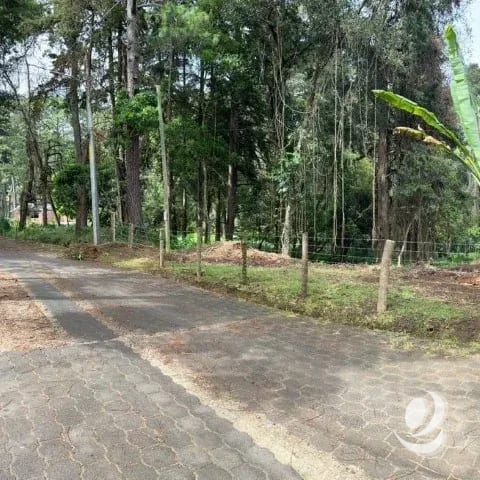 Terreno Residencial en Venta El Encinal Tronco 2 Mixco — Terreno en Venta en Zona 7 Mixco, Guatemala, Ciudad — foto 5 de 7