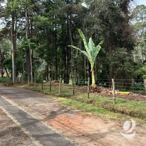 Terreno Residencial en Venta El Encinal Tronco 2 Mixco — Terreno en Venta en Zona 7 Mixco, Guatemala, Ciudad — foto 7 de 7