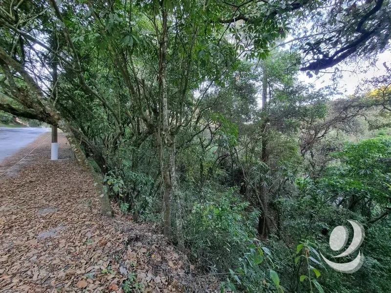 Terreno en Venta en El Encinal, Zona 7 de Mixco — Terreno en Venta en Zona 7 Mixco, Guatemala, Ciudad — foto 6 de 12