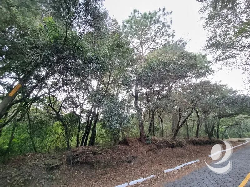 Terreno en Venta en El Encinal, Zona 7 de Mixco — Terreno en Venta en Zona 7 Mixco, Guatemala, Ciudad — foto 10 de 12