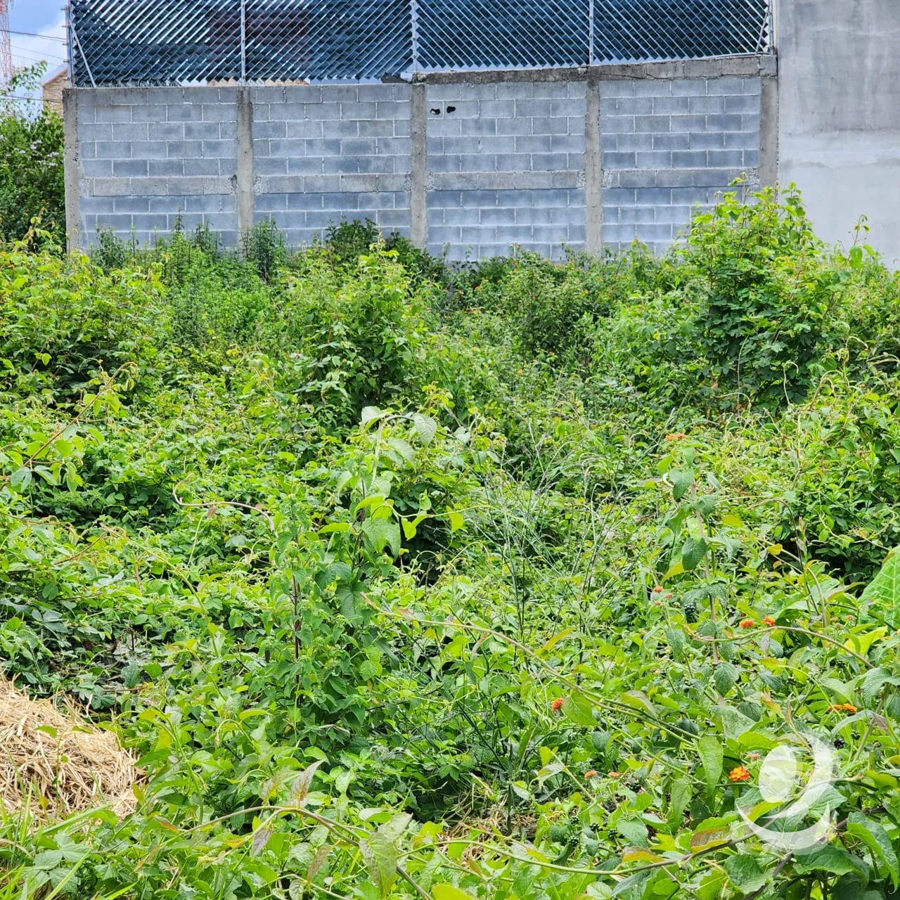 Terreno en Venta Zona 16 Colonia Hacienda Real 8 x 25 — Terreno en Venta en Zona 16, Guatemala, Ciudad — foto 3 de 12