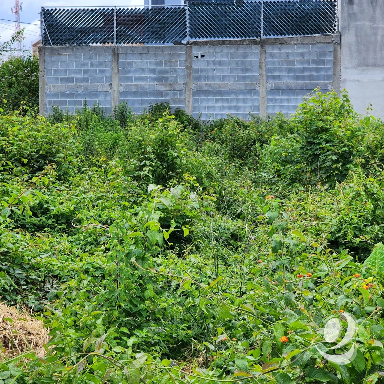 Terreno en Venta Zona 16 Colonia Hacienda Real 8 x 25 — Terreno en Venta en Zona 16, Guatemala, Ciudad — foto 4 de 12