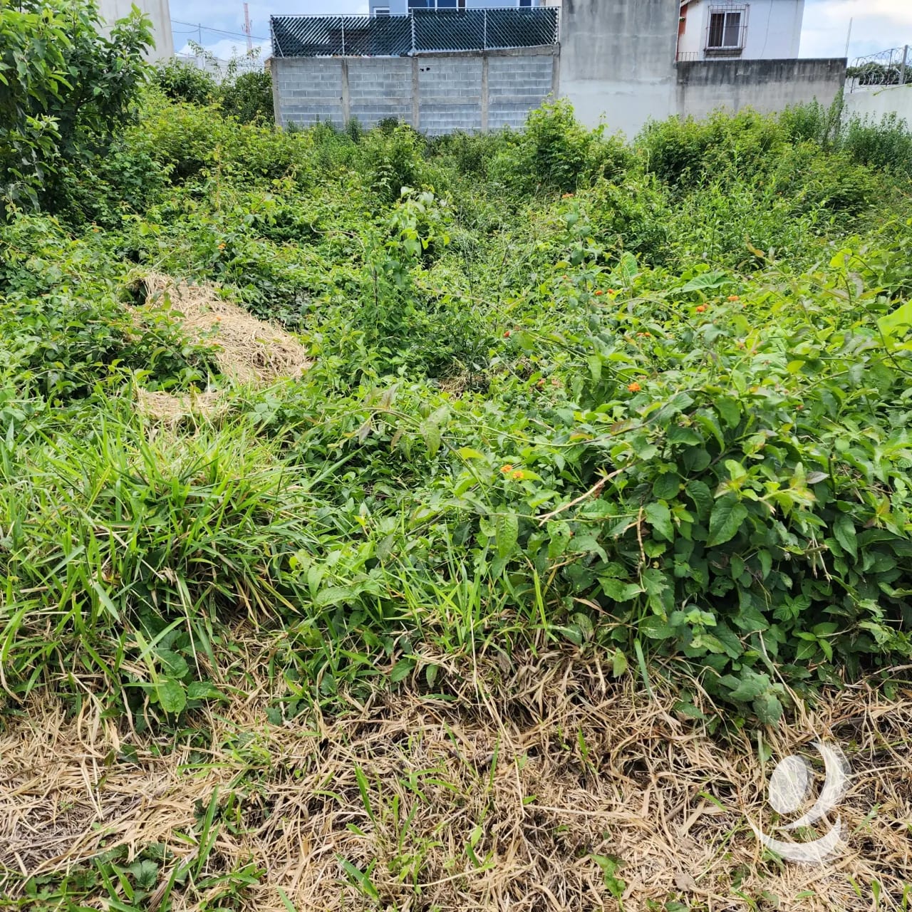 Terreno en Venta Zona 16 Colonia Hacienda Real 8 x 25 — Terreno en Venta en Zona 16, Guatemala, Ciudad — foto 10 de 12