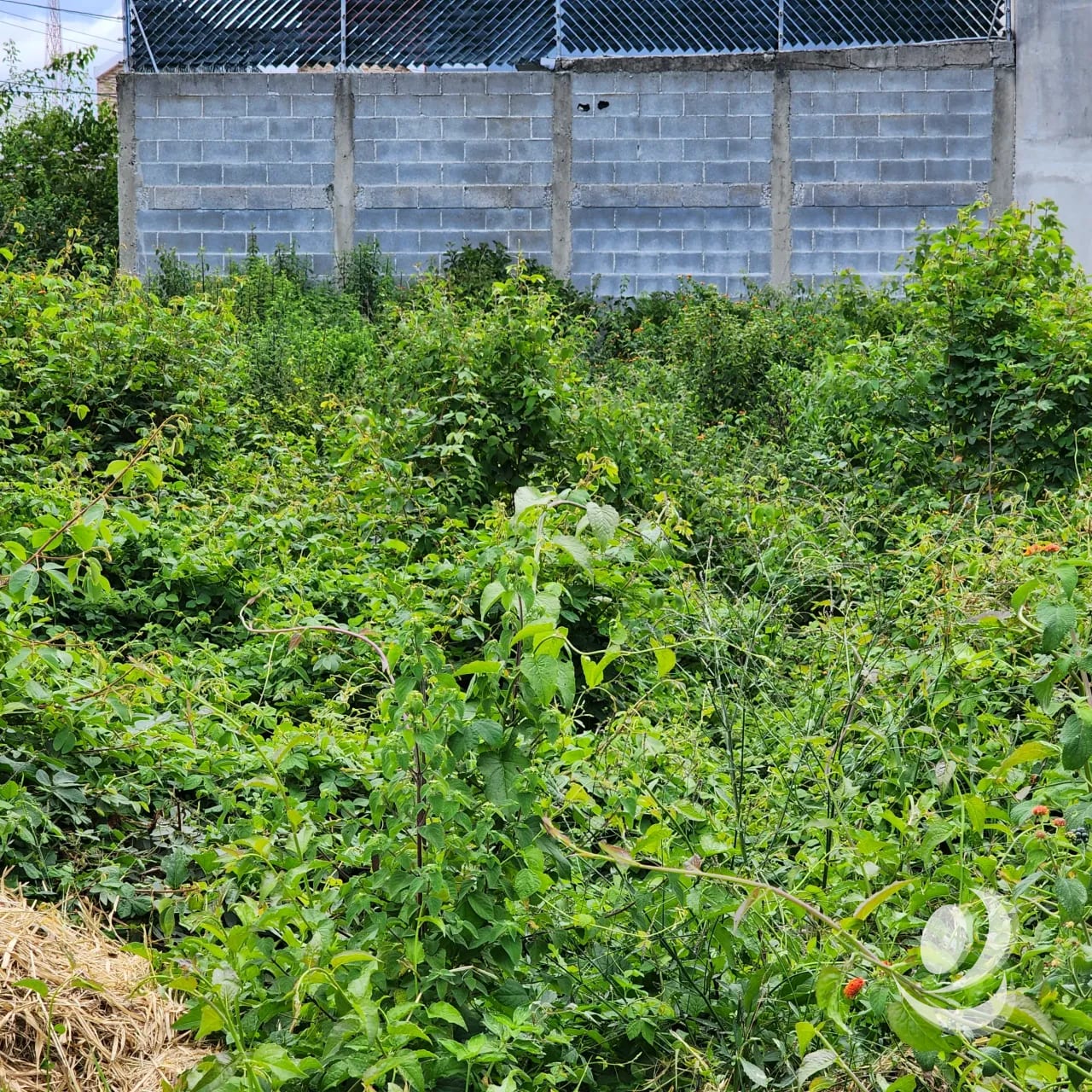 Terreno en Venta Zona 16 Colonia Hacienda Real 8 x 25 — Terreno en Venta en Zona 16, Guatemala, Ciudad — foto 11 de 12